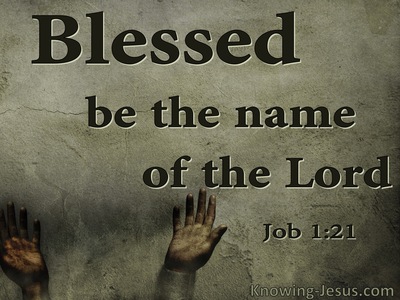 Job 1:21 The Lord Gave And Has Taken Away (sage)